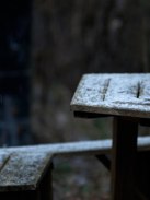 冬の横沢