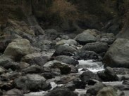 隣接する渓流