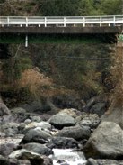 隣接する渓流